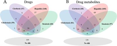 Development of Prediction Models for Drug-Induced Cholestasis, Cirrhosis, Hepatitis, and Steatosis Based on Drug and Drug Metabolite Structures